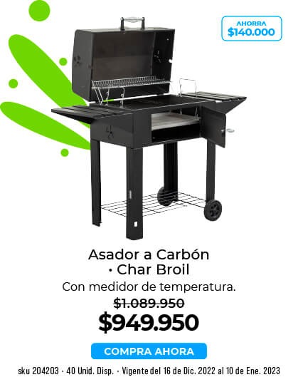 asador a carbón