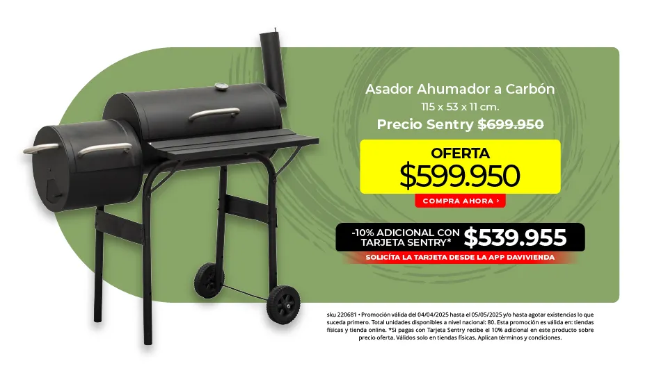 Asador ahumador a carbón