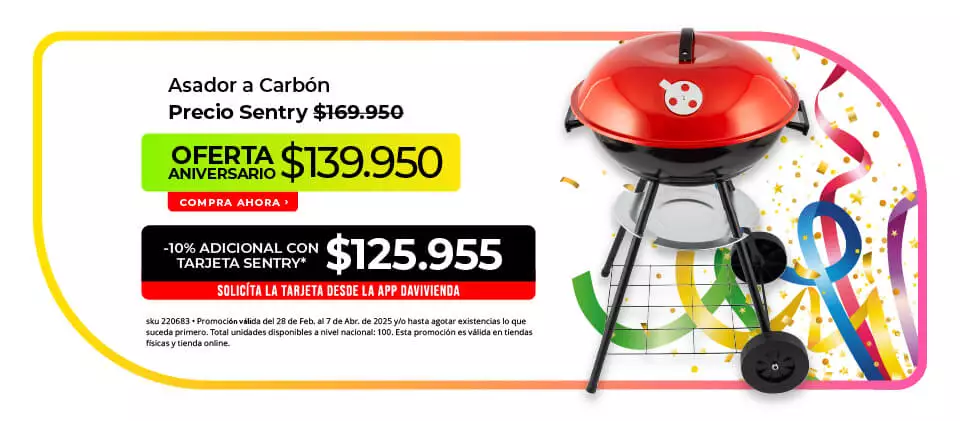 asador a carbón