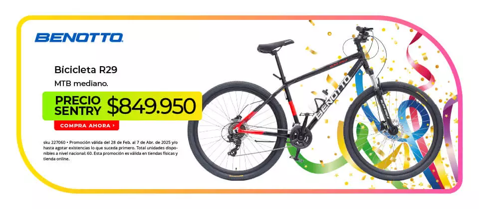 bicicleta r29