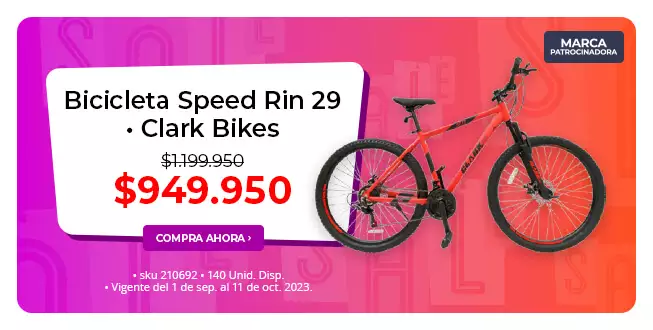 bicicleta speed rin 29