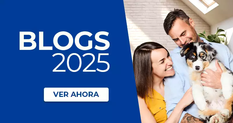 Blog 2024