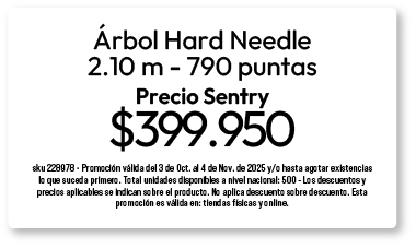 bosque-arbol-1-oct-2025