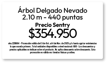 bosque-arbol-2-oct-2025