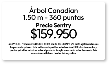 bosque-arbol-3-oct-2025