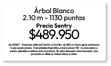 bosque-arbol-4-oct-2025