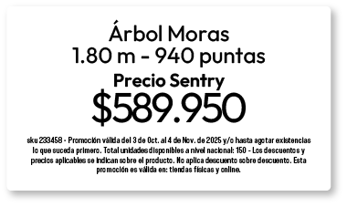 bosque-arbol-5-oct-2025