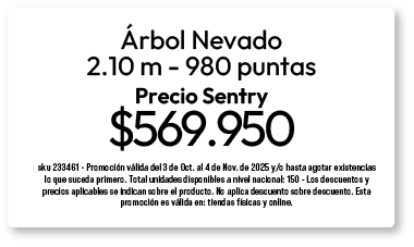 bosque-arbol-6-oct-2025