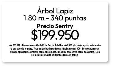 bosque-arbol-7-oct-2025