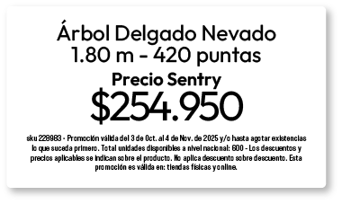 bosque-arbol-9-oct-2025