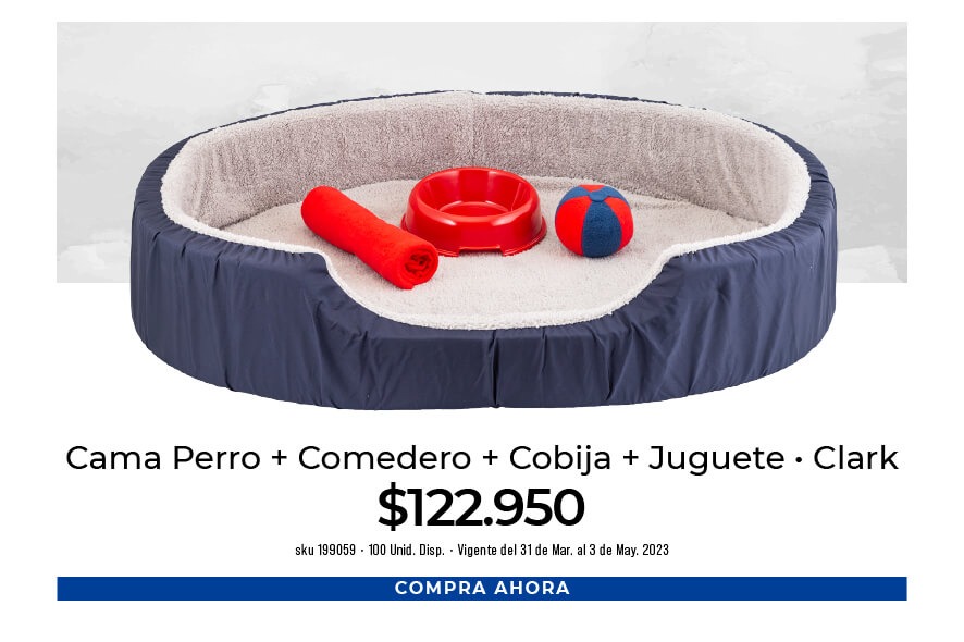 cama perro + comedor + cobija + juguete