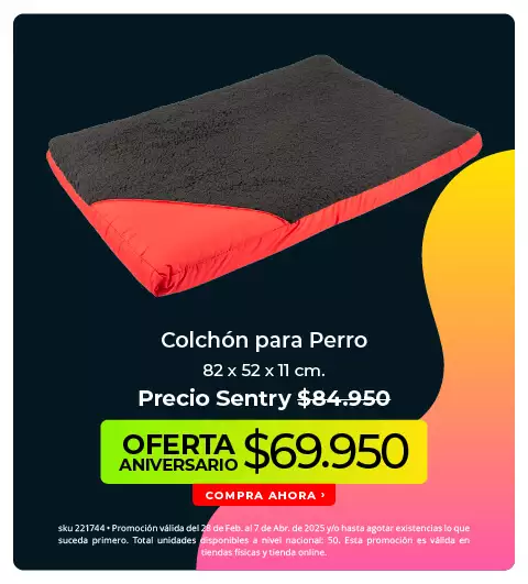 colchón para perro