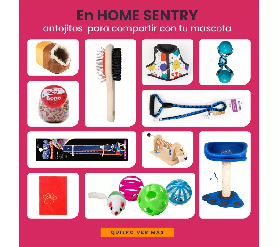 elementos para sus mascotas
