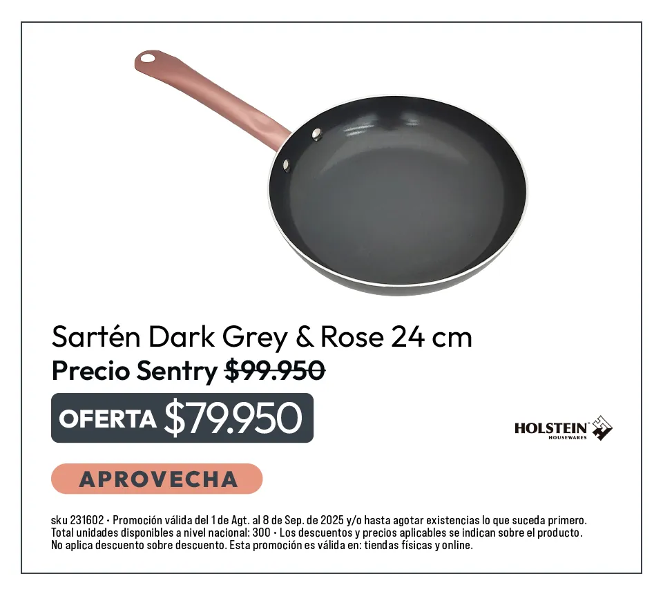 sarten-dark-gray-rose-24cm-holstein-agosto-2025