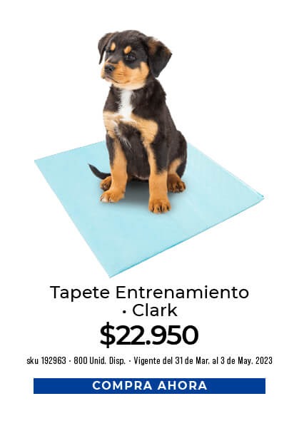 tapete entrenamiento