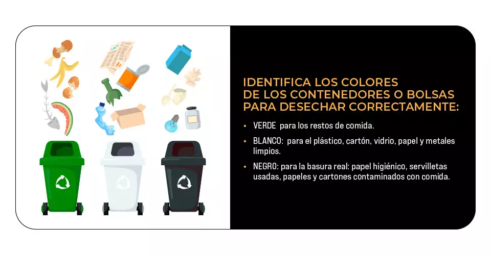 identifica los colores