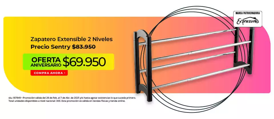 zapatero extensible 2 niveles