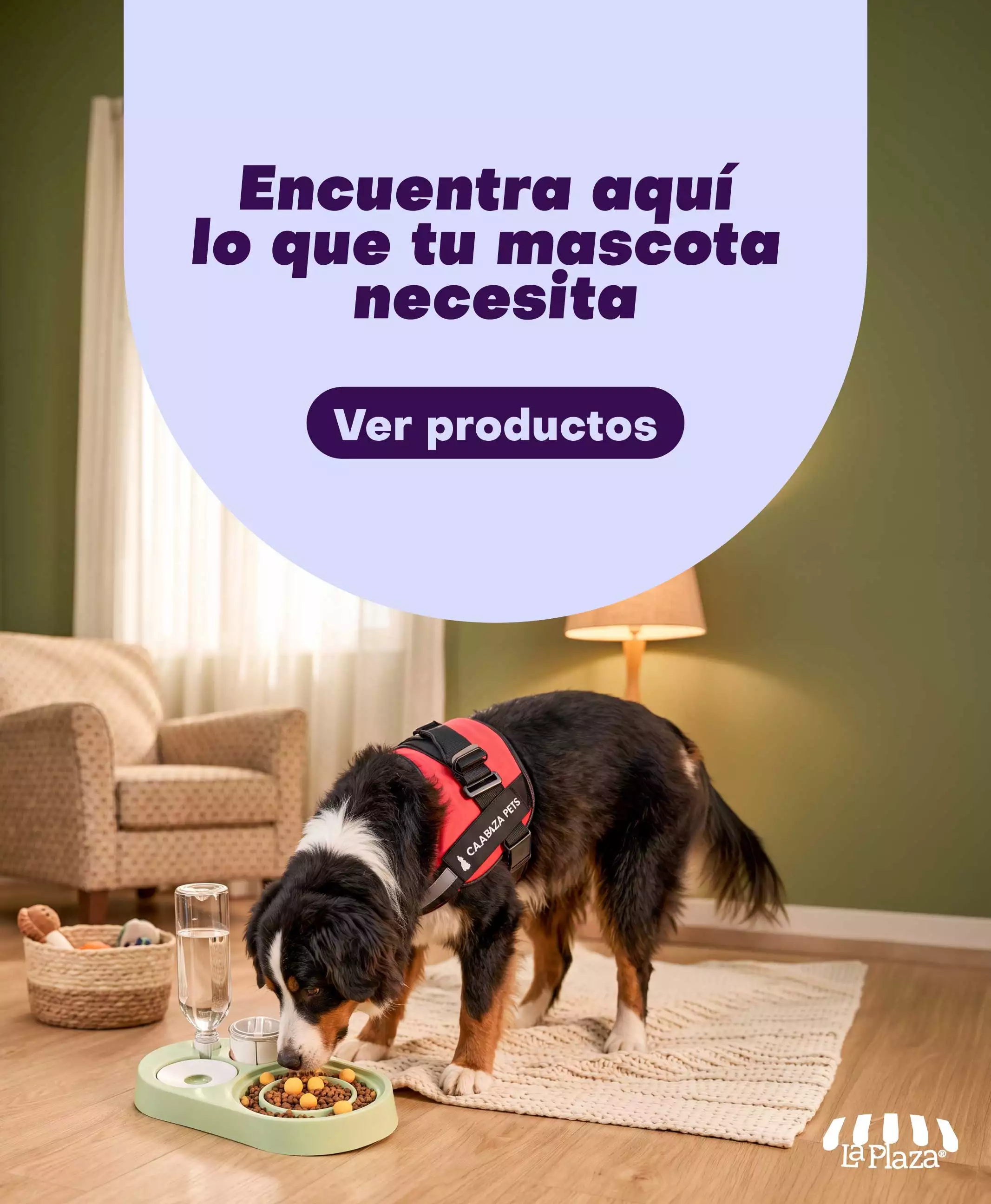 Categoría de mascotas: alimentos, accesorios y juguetes.