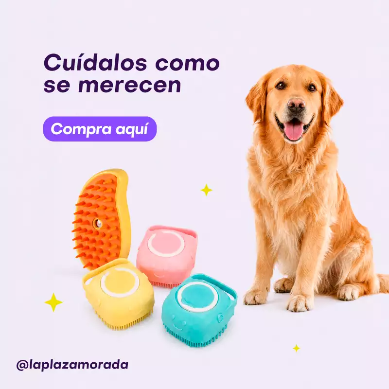 Categoría Mascotas La Plaza Morada - alimentos y accesorios