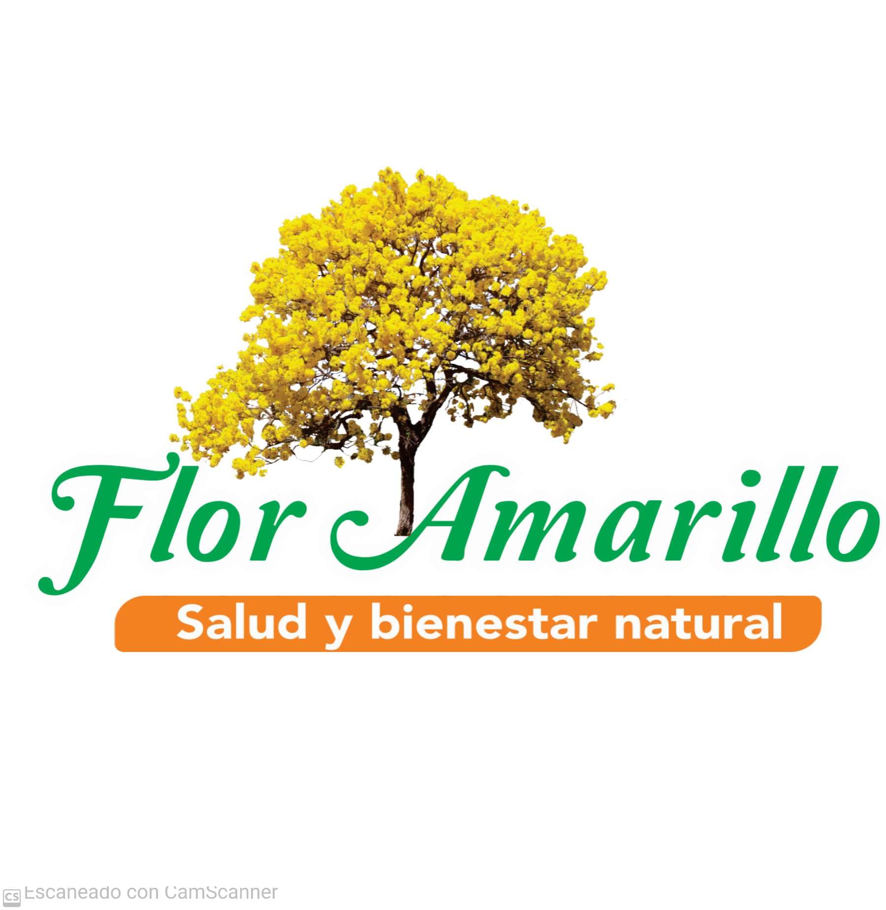 TIENDA FLOR AMARILLO