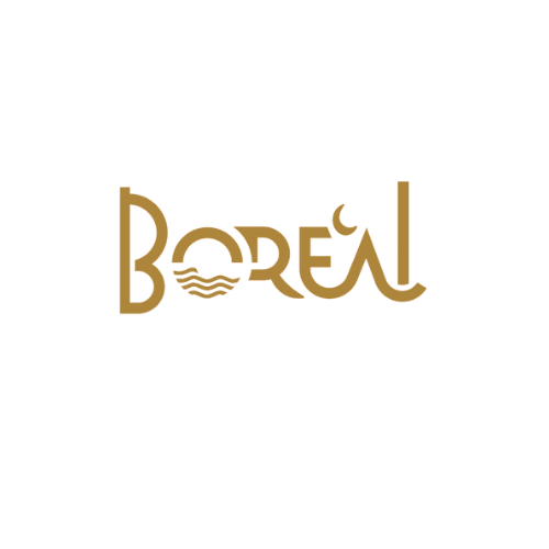 ARTE BOREAL