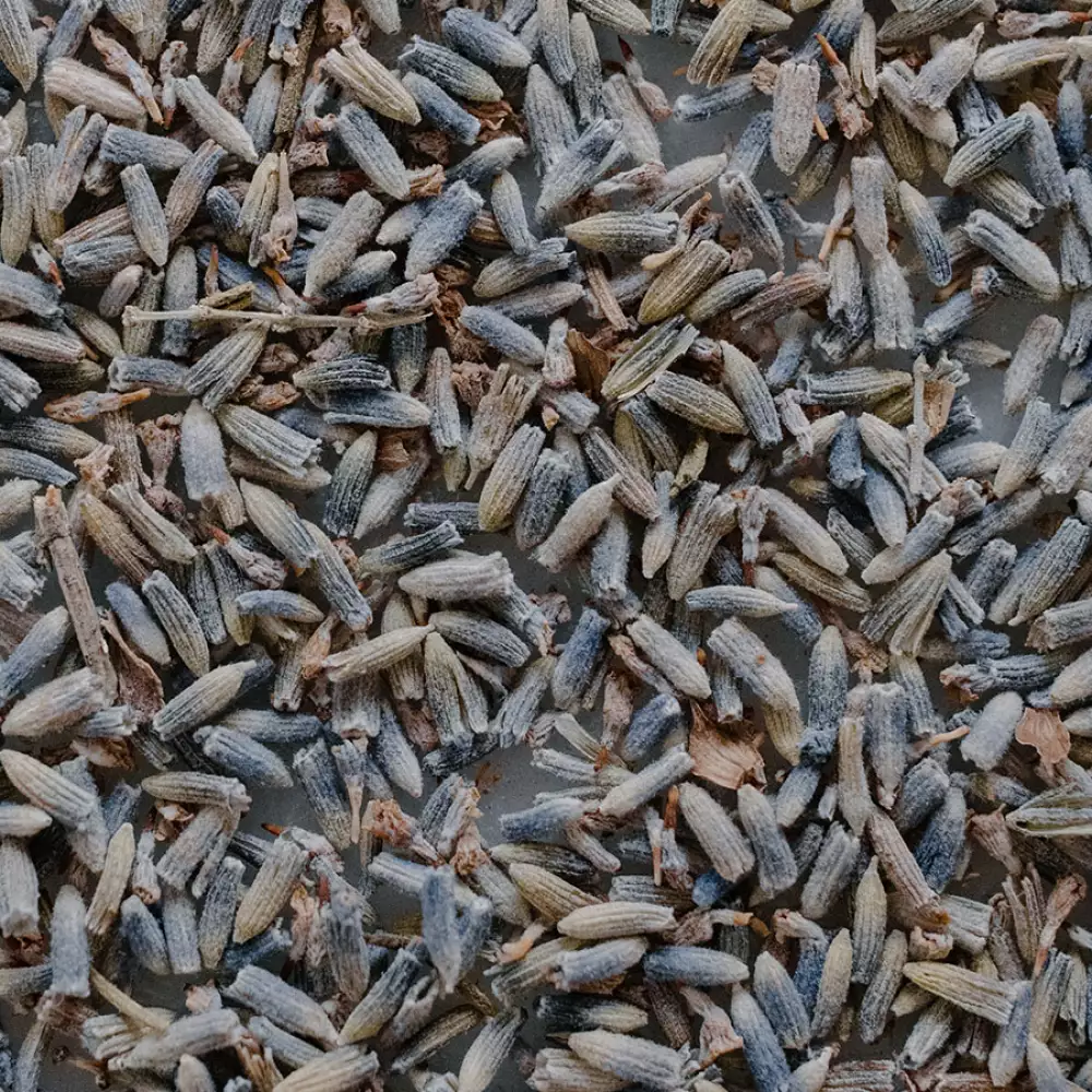 ACEITE ESENCIAL DE LAVANDA