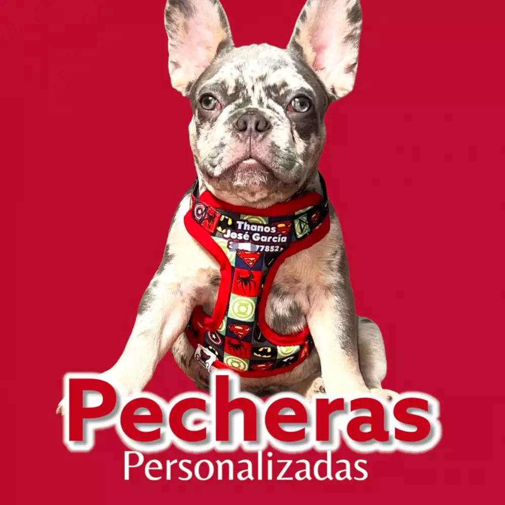 Arnés pechera personalizados para perros o gatos