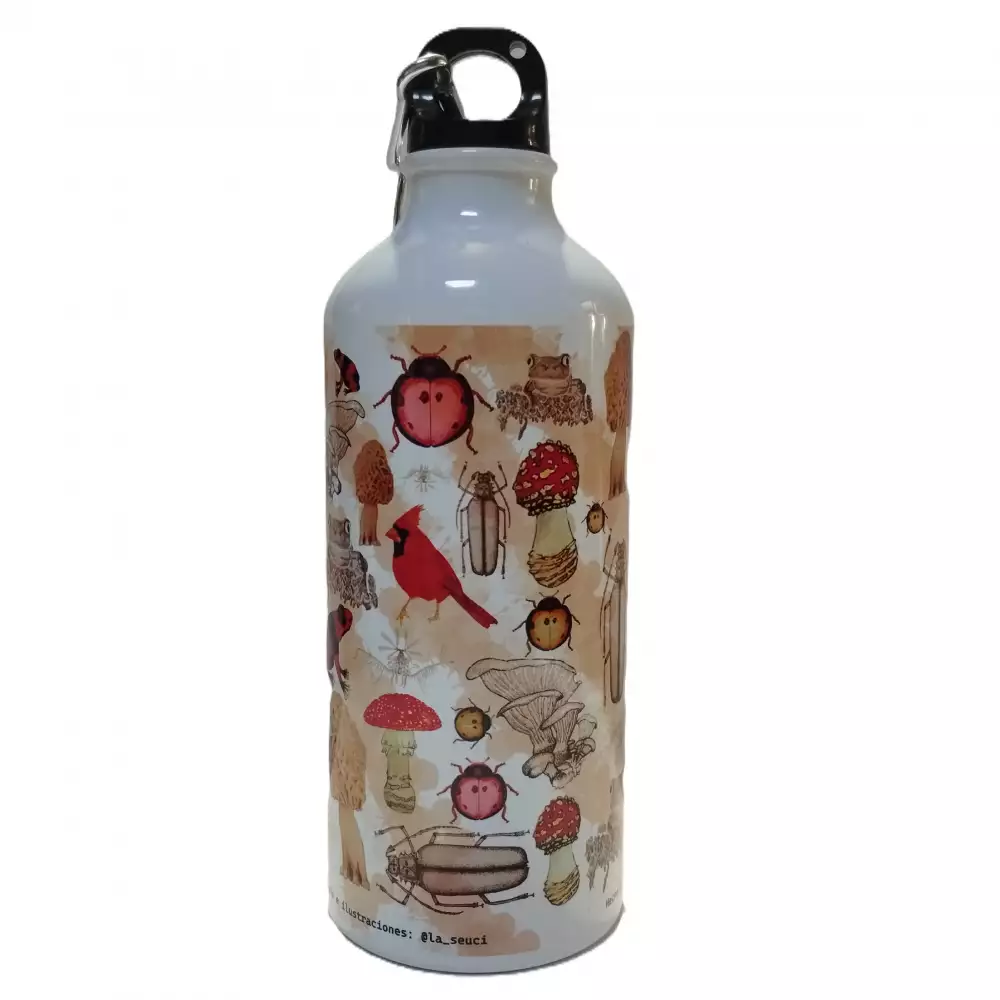Botella - botilito en acero inoxidable Knolling 1