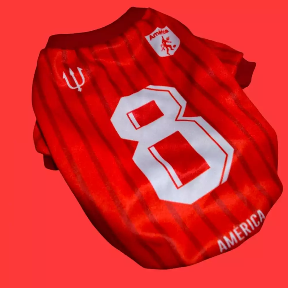 Camiseta América de Cali