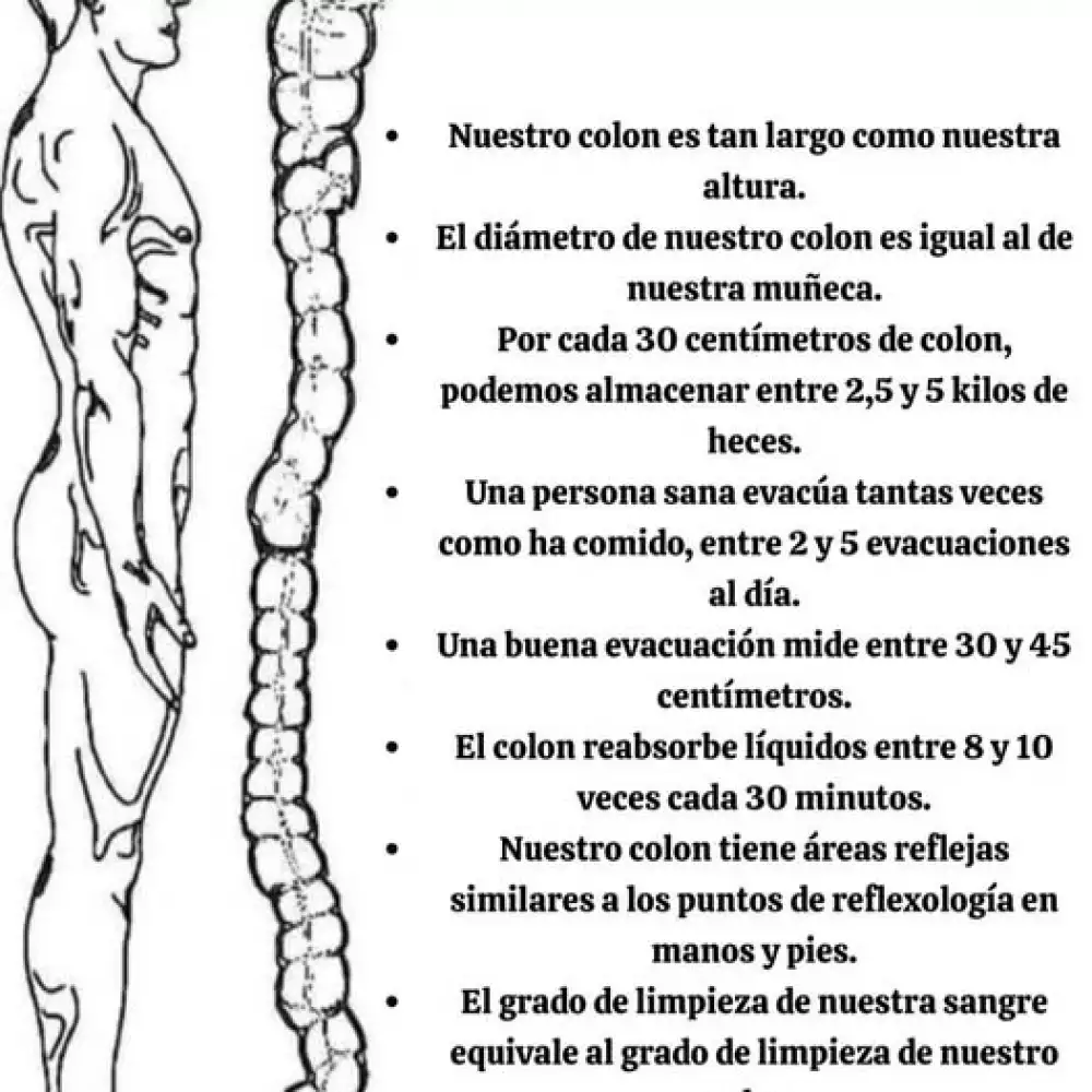 Cápsulas probióticas para estreñimiento y digestión