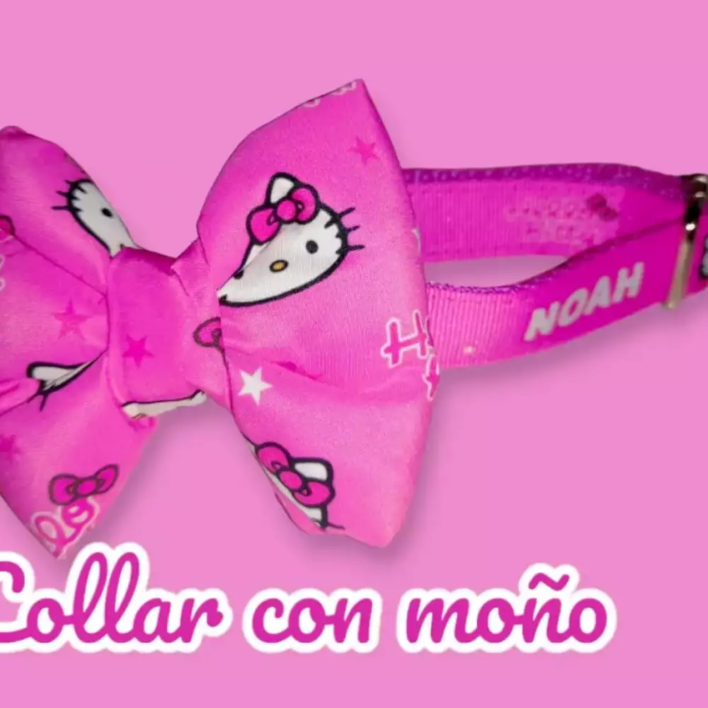 Collar de identificación para mascotas