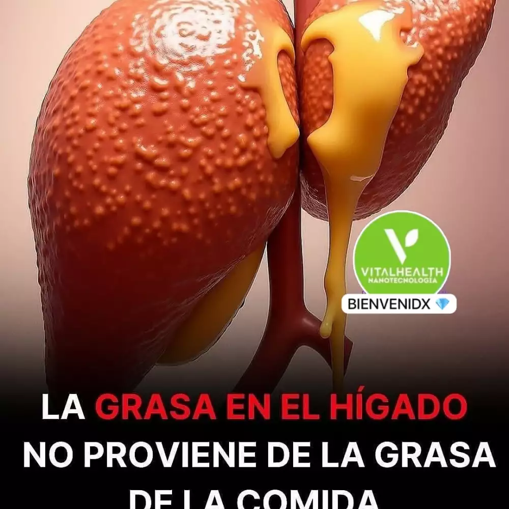 ORGANEX - 60 Cápsulas - Mejora Hígado Graso