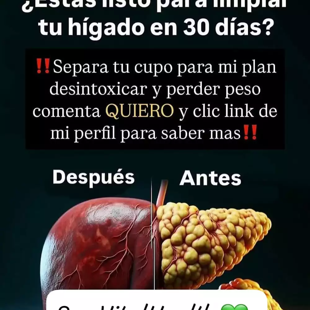 ORGANEX - 60 Cápsulas - Mejora Hígado Graso