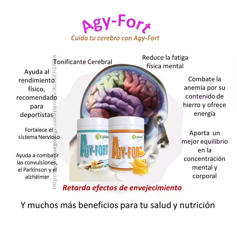 Suplemento Agy-Fort energía y concentración 500g