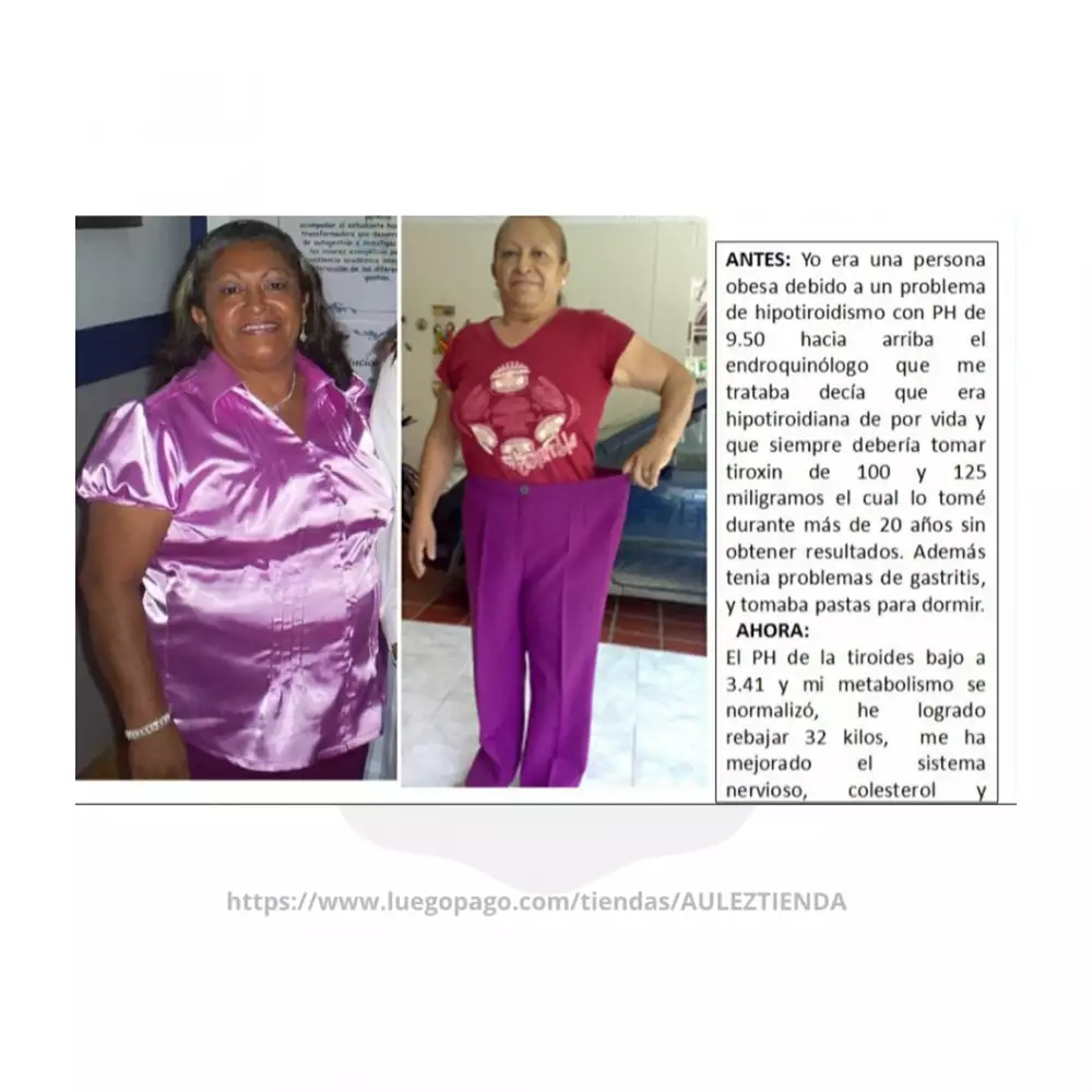 Suplemento dietario natural para regular peso y sistema endocrino