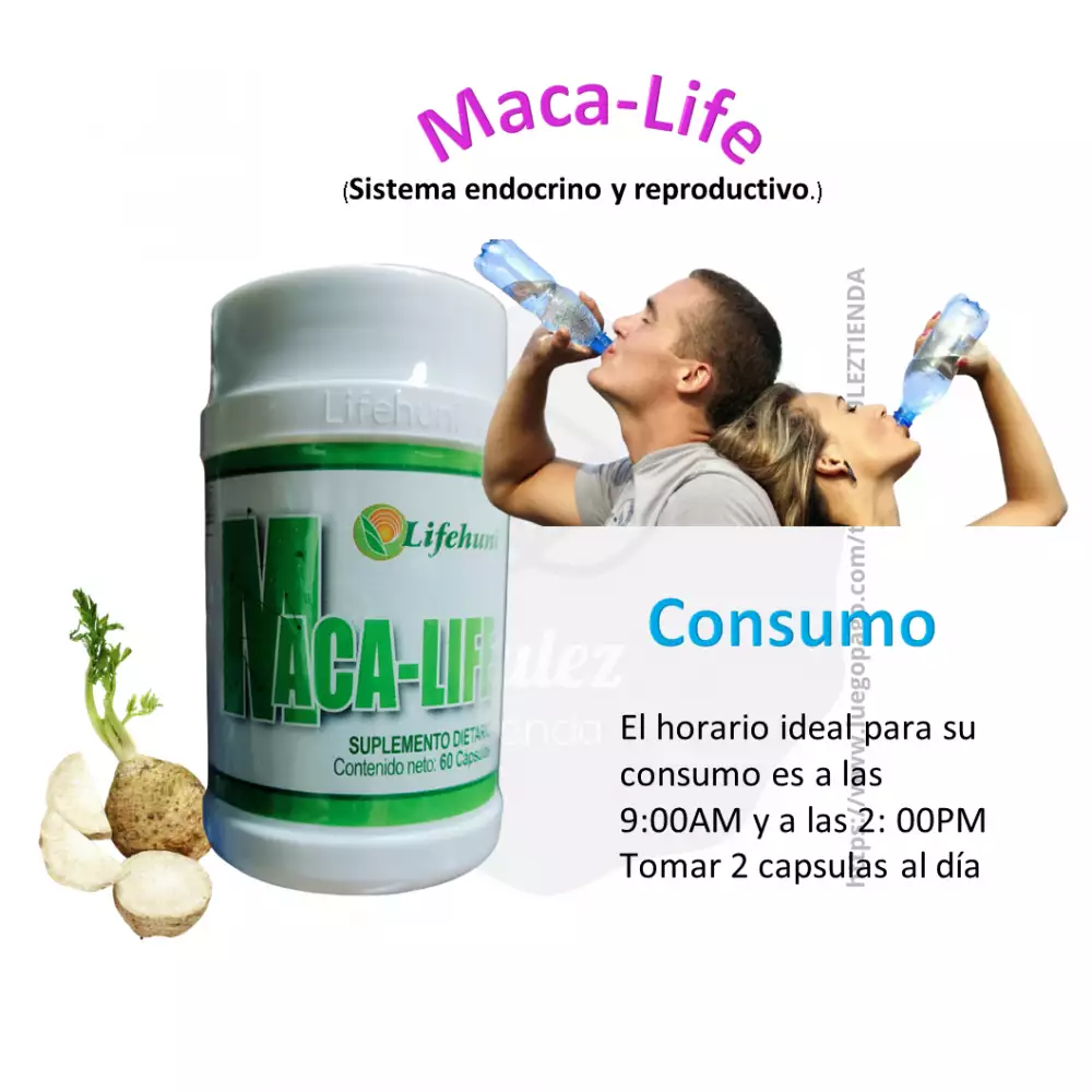 Suplemento Maca-Life para tiroides y metabolismo