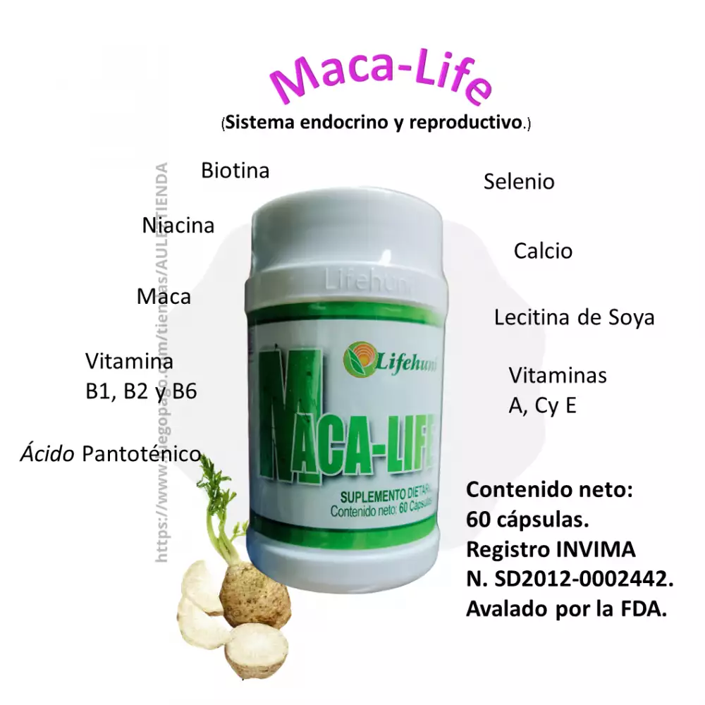 Suplemento Maca-Life para tiroides y metabolismo