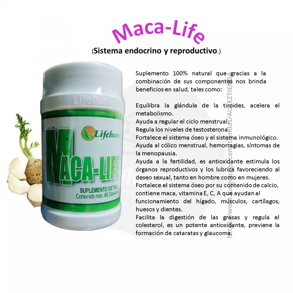 Suplemento Maca-Life para tiroides y metabolismo