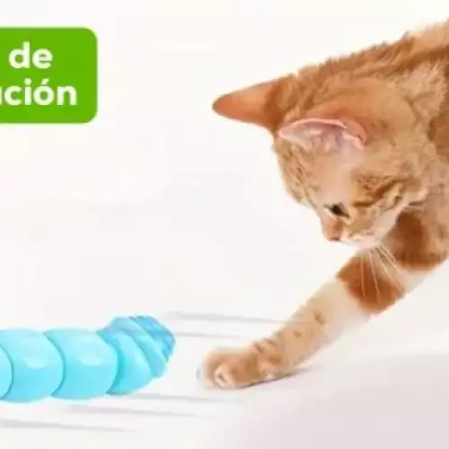 ¡Oruga Interactiva para Gatos! El juguete definitivo contra el aburrimiento