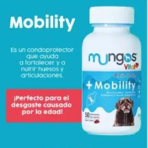 ¿Tu perro tiene dolor al caminar?  Mungos Vital Mobility - ¡Fuerza Articular!