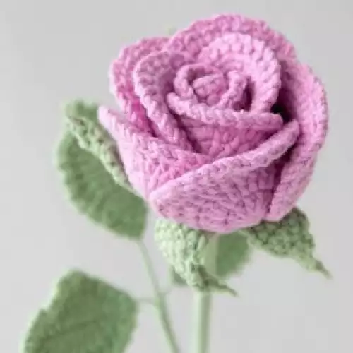 🌹Rosa Premium