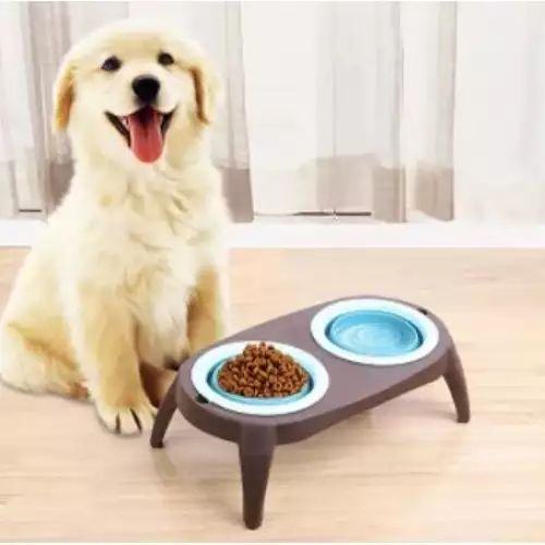 🐕 ¡Cuida la salud de tu mascota mientras come! Comedero Alto y Ajustable