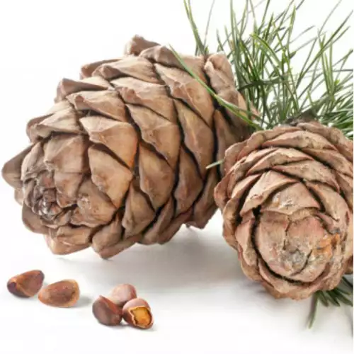 ACEITE ESENCIAL DE CEDRO