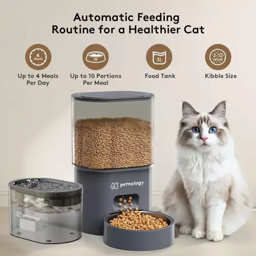 Alimentador y dispensador de agua automático - Petnology DuoFeeder