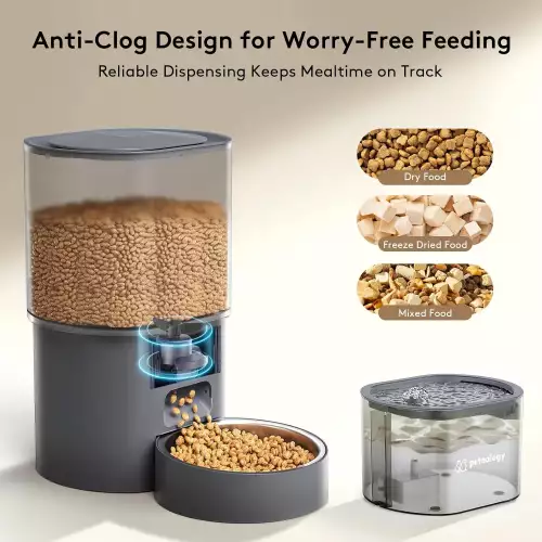 Alimentador y dispensador de agua automático - Petnology DuoFeeder