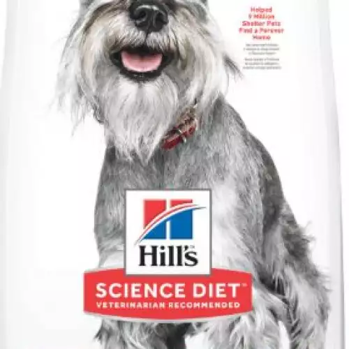 Alimento Hill's para perros senior razas pequeñas 2kg