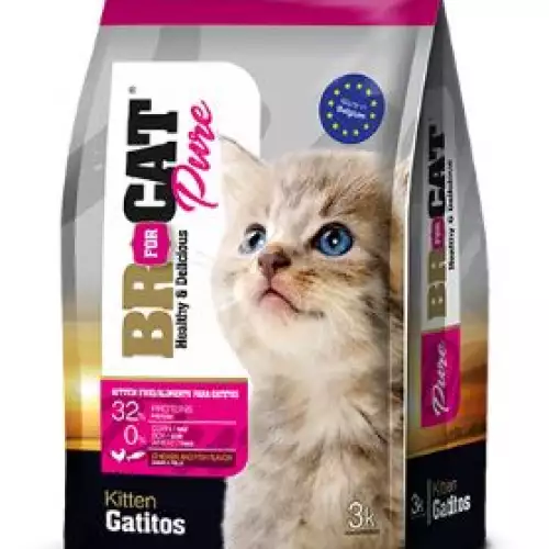Alimento para gatito sabor pollo desarrollo cognitivo