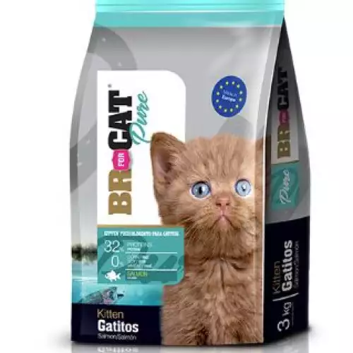 Alimento para gatito sabor salmón con omega 3