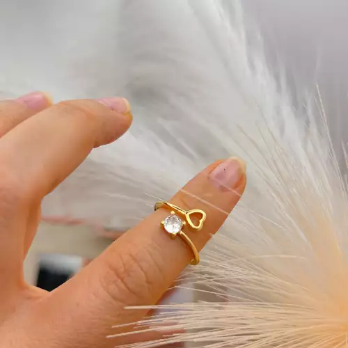 ANILLO 01 FALENGE