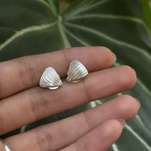 Aretes Conchas de Mar | Plata 950